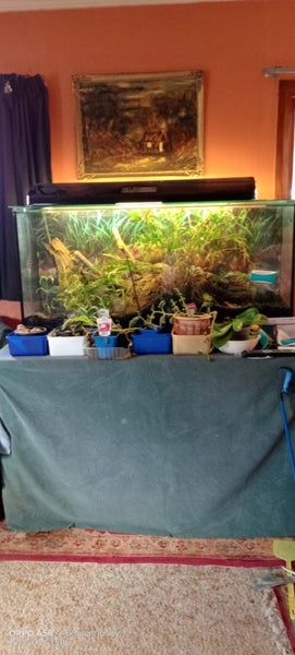 4 Foot Long Fishtank. Carousel 1