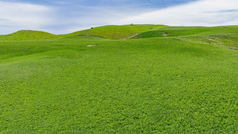 First farm or attractive addition64372966973698114