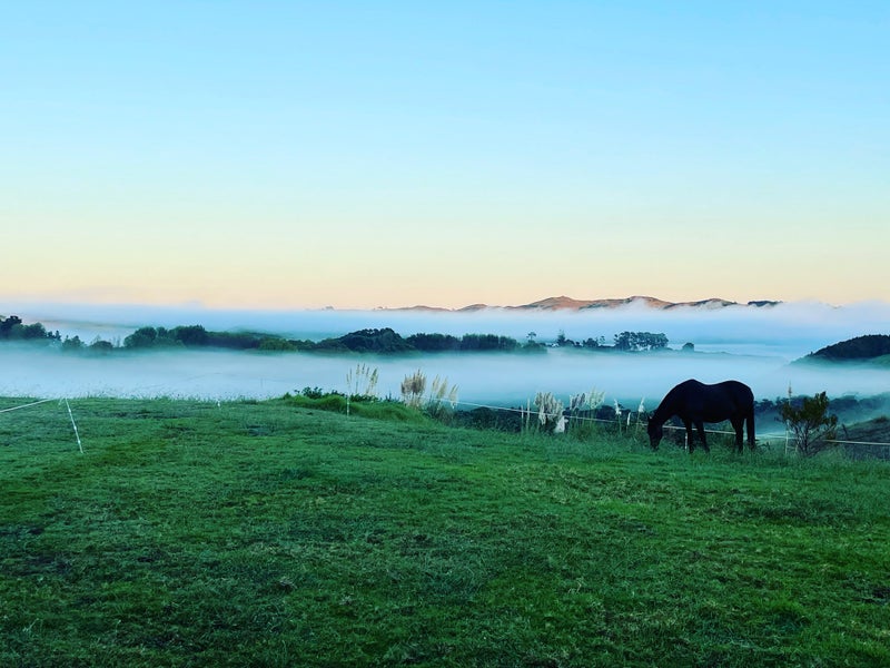 Private, Profitable and Promising64373260209025112