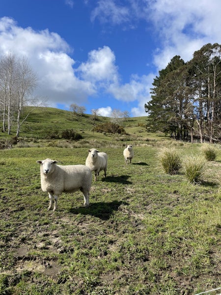 Private, Profitable and Promising64373260209025114