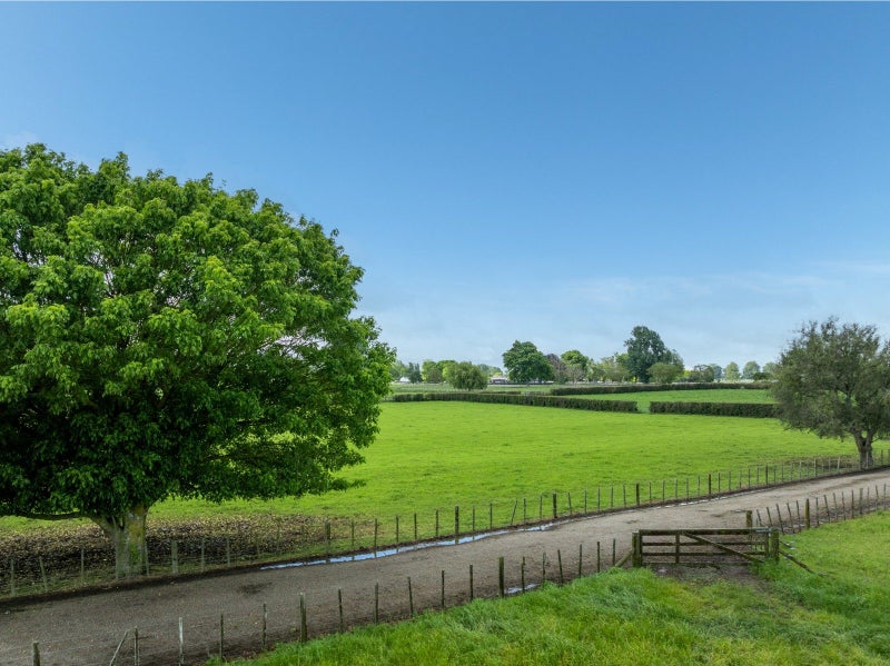 Held for 50 years- Offered for the first time64373675897602112