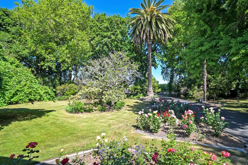 Timeless Character on Oak Ave64373868273923112