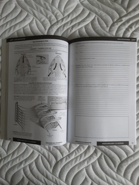 Level 2 Scipads bulk64374074868226113