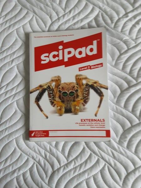 Level 2 Scipads bulk64374074868226110