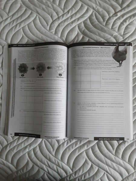 Level 2 Scipads bulk64374074868226111