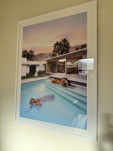 Palm Springs Tigers by Paul Fuentes A1 framed art print Carousel 1