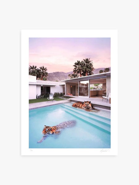 Palm Springs Tigers by Paul Fuentes A1 framed art print Carousel 2