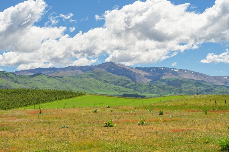 Accessible and available64382479095298112