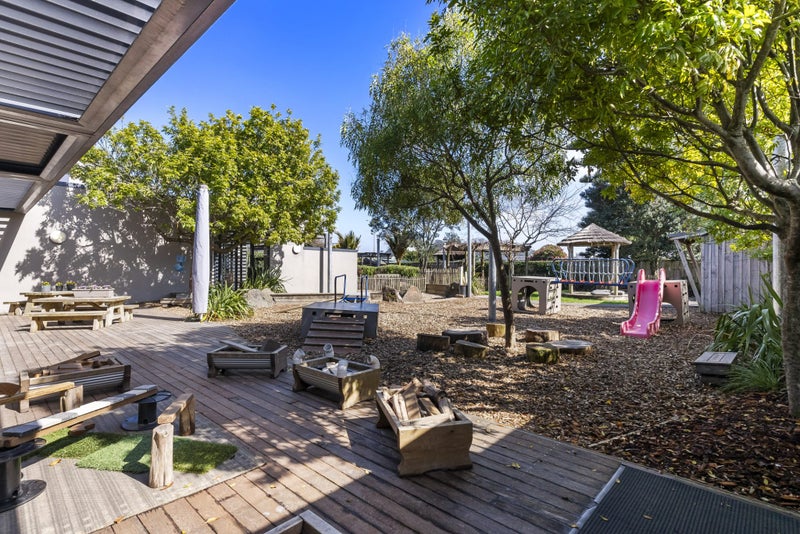 Bear Park Limited Carousel 1