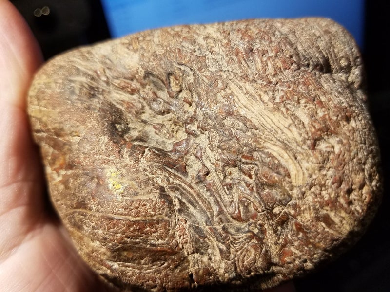 Precious mineral lapidary rocks, kauri gum, fossils - NZ, mixed, all or choose. Carousel 20