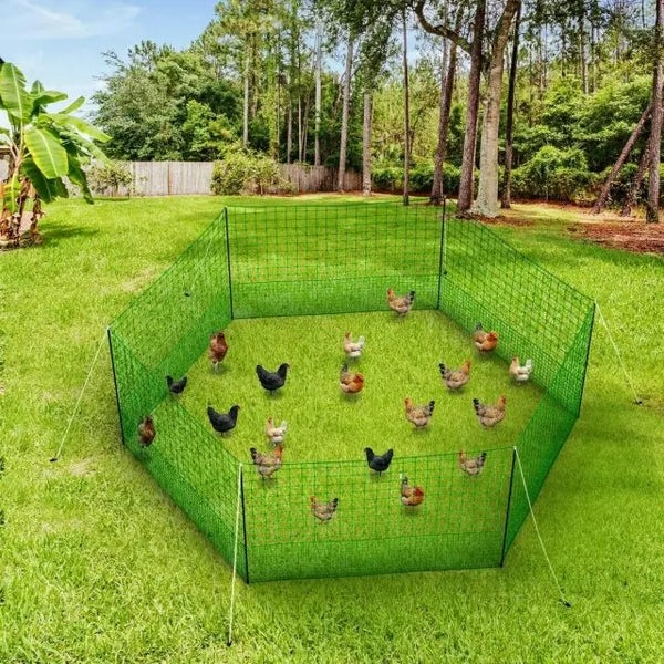 Chicken Fence,Chicken Netting - (NZ Clearance) Carousel 13