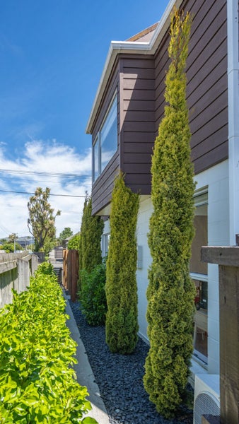 Wanna Get Groovy Baby?64384209427329113