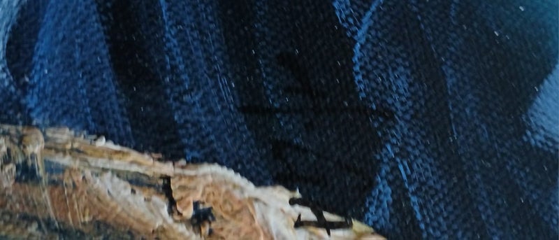 This is a oil painting by a new Zealand artist (,delightful carming view) yeah Carousel 4