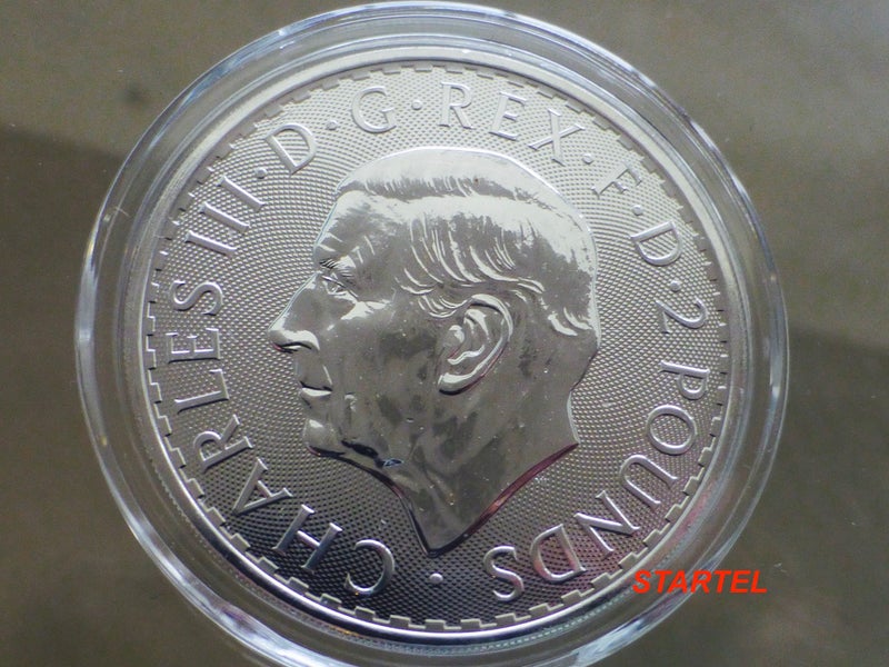 2024 Britannia 1 Oz silver bullion coin in capsule Carousel 2