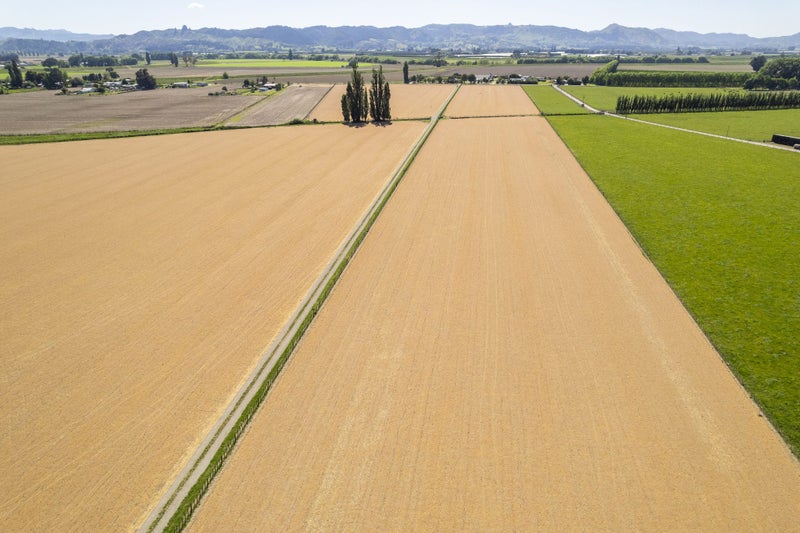 Productive diversity - 88 hectares in two titles64393381845634113