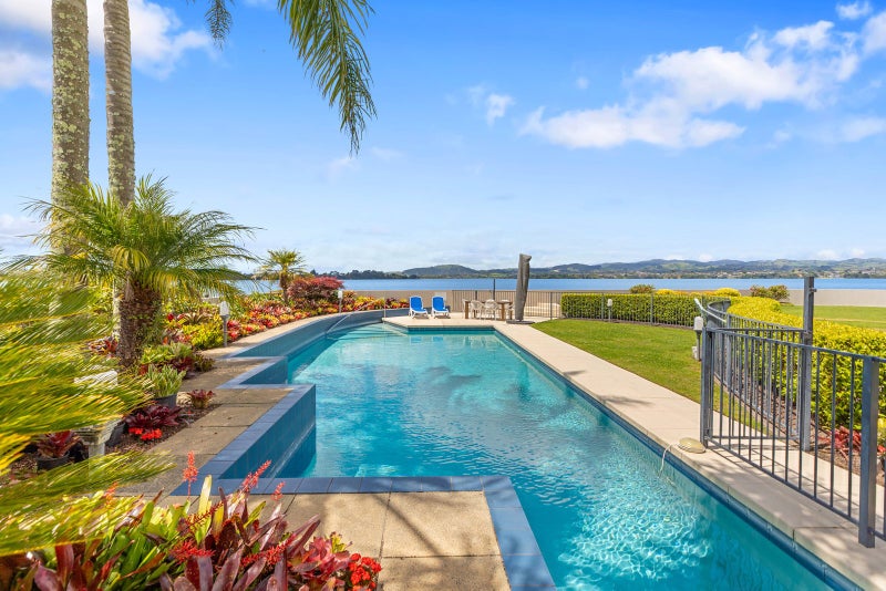 First Time To Market In 20 years!64395094367875110