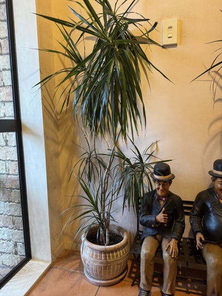 Laurel and Hardy sitting on a bench - with two potted plants64481660274305110