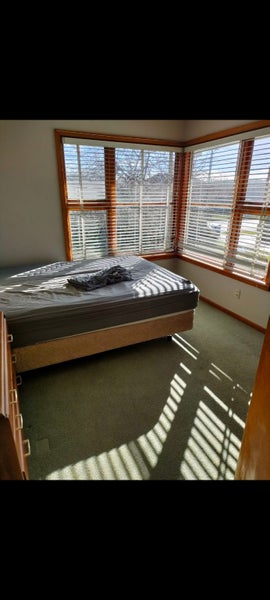 Spreydon, 4 bedrooms64404062273155110