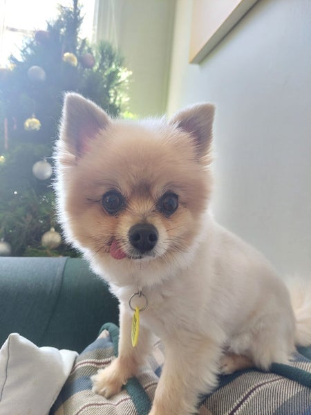 Kingsland, 6+ bedrooms64405894484225113