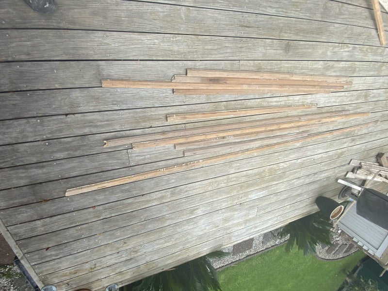 Rimu Scotia boards Carousel 2