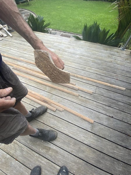 Rimu Scotia boards Carousel 4