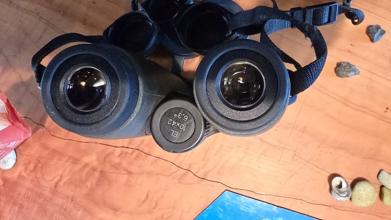 Swarovski EL 10x42 Carousel 8