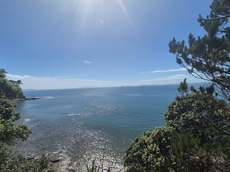 Waiake, 3 bedrooms64630160950787113