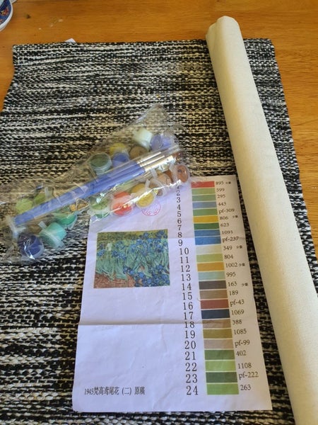 3 PAINT BY NUMBER KITS WITH FRAMES AND MAGNIFIER64415430221059110