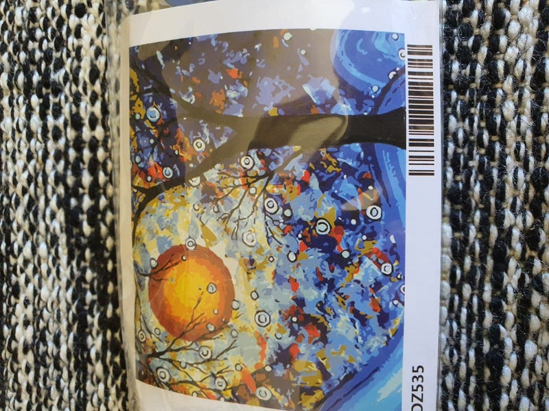 3 PAINT BY NUMBER KITS WITH FRAMES AND MAGNIFIER64415430221059114