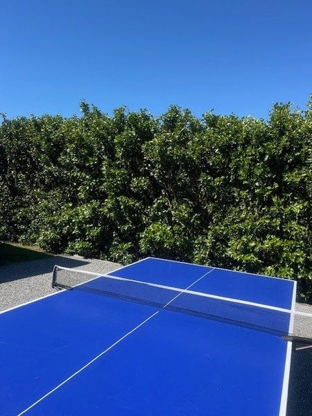 Table tennis Table - Double Fish Game Zone Family64415779490690113