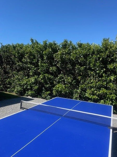 Table tennis Table - Double Fish Game Zone Family64415779490690114