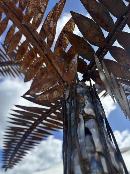 NZ Fern Tree - By Studio Slade64416419046659113