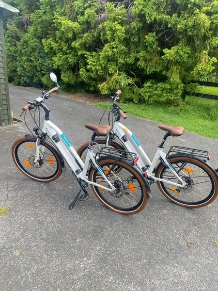 TWO Magnum E-Bikes **FOR ONE PRICE** (2018)64523519936641110