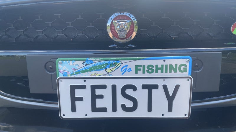 Personalised plate FEISTY64685855383555110