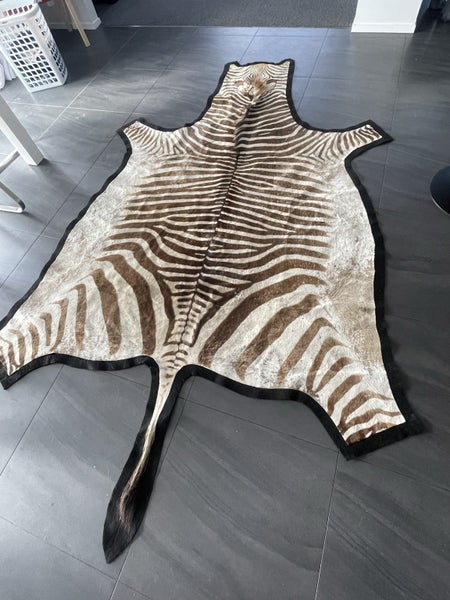 Real zebra hide rug64418437270659110