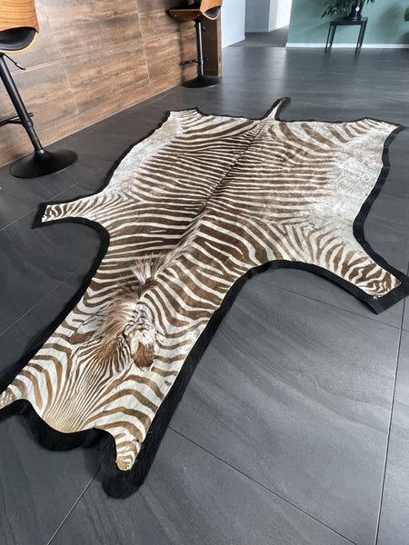 Real zebra hide rug64418437270659111