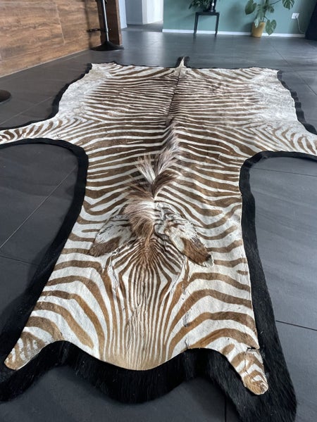 Real zebra hide rug64418437270659113