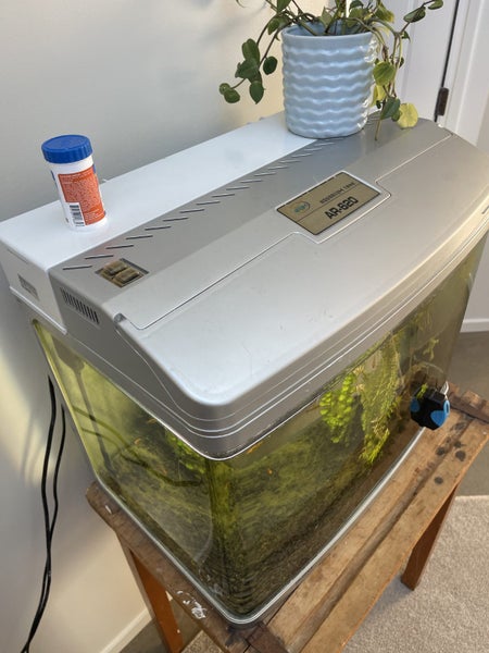 Aqua One AR-620 curved glass fish tank + 13 Fish Carousel 2