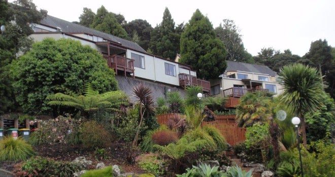 Club Paihia, 24 Jan to 31 Jan 202664629822919554111