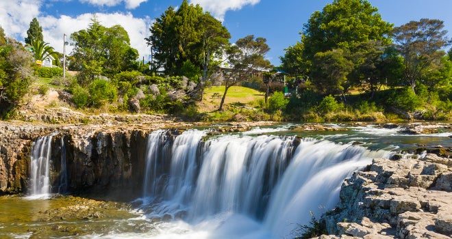 Club Paihia, 24 Jan to 31 Jan 202664629822919554114