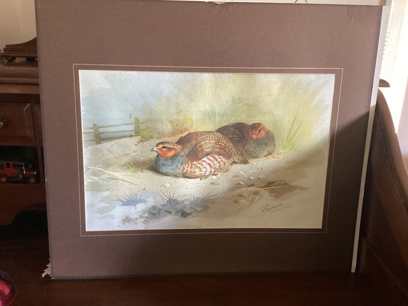 Frame ,glass x 1,Signed Print x 1,Photo large ,faults Carousel 1