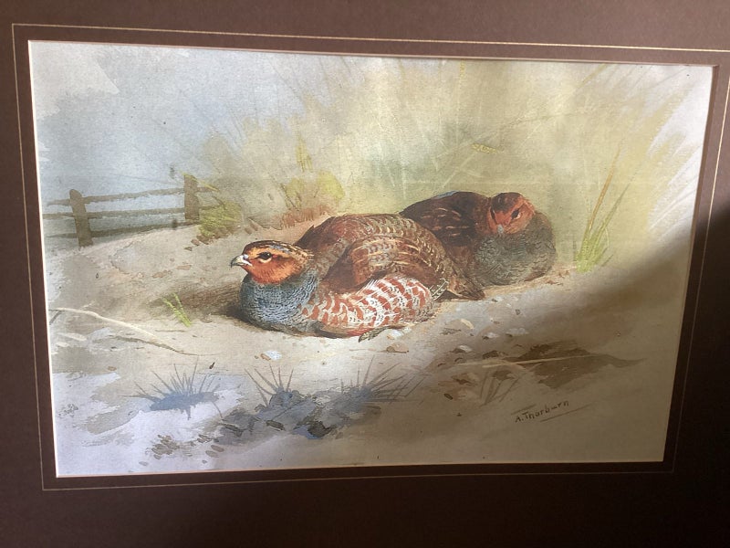 Frame ,glass x 1,Signed Print x 1,Photo large ,faults Carousel 2