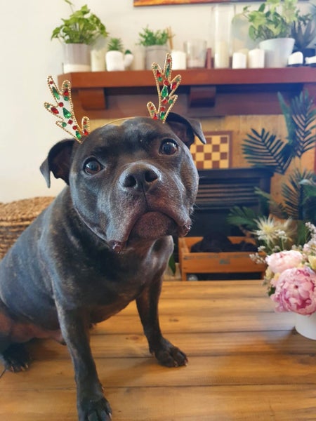 Mount Wellington, 4 bedrooms64670627768067113