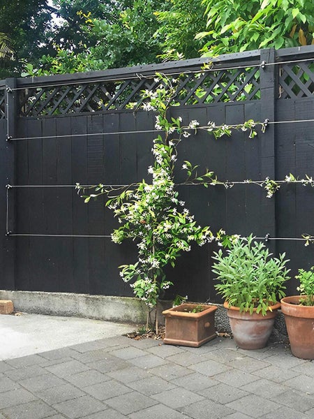 Espalar Surface Mounted Universal Espalier Kit - with wire Carousel 1