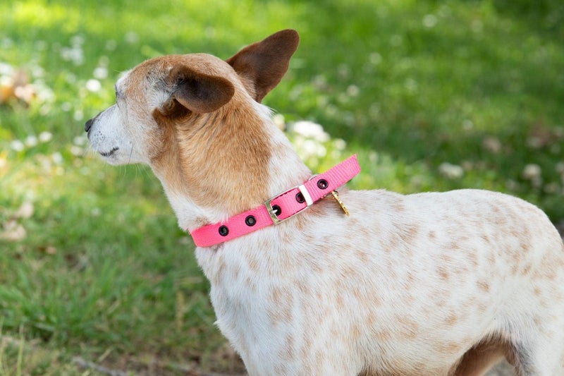 Spot - Chance 4 Change Carousel 8