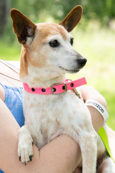 Spot - Chance 4 Change Carousel 1