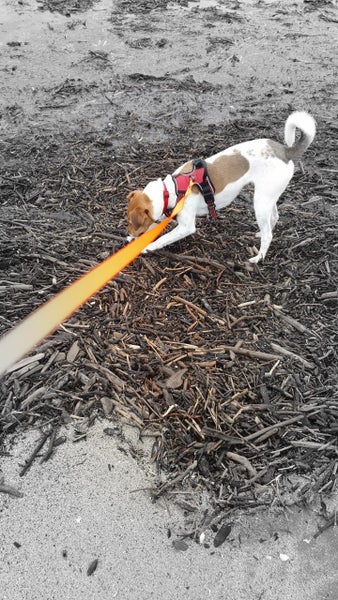 Frank - Chance 4 Change Carousel 8