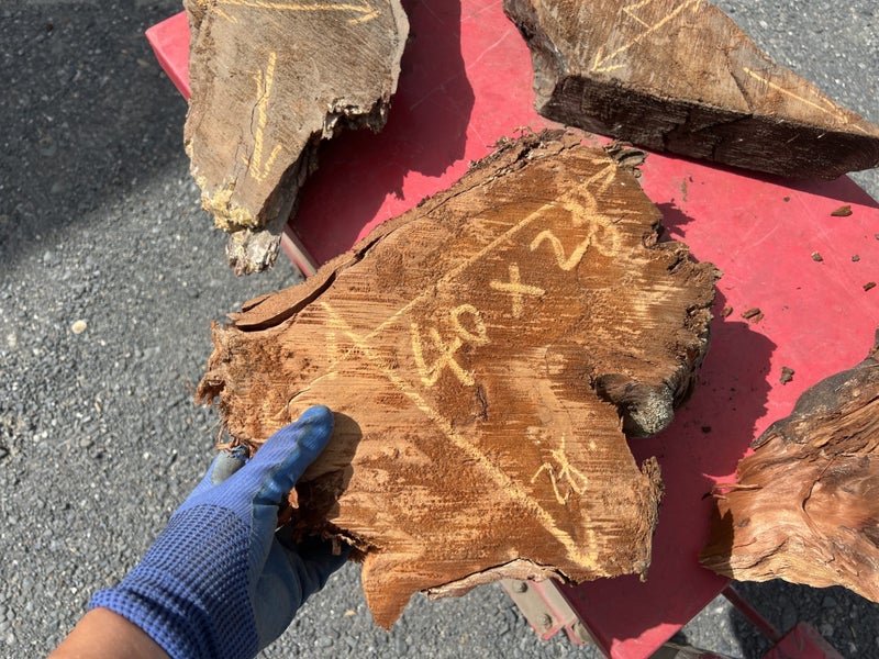 Ancient Swamp Kauri Offcuts for Artworks (Kiln-Dried, Ready to Work)64428703753857113