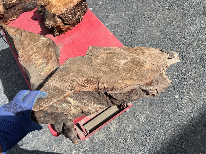 Ancient Swamp Kauri Offcuts for Artworks (Kiln-Dried, Ready to Work)64428703753857114