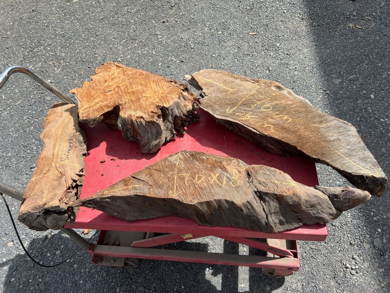 Ancient Swamp Kauri Offcuts for Artworks (Kiln-Dried, Ready to Work)64428703753857111